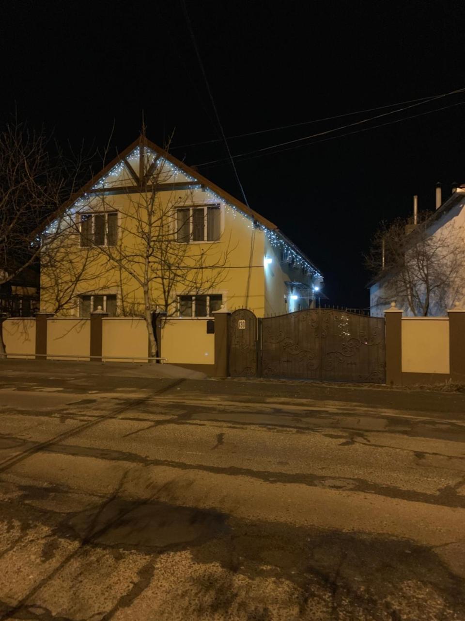 Міні Готель Вілла Вікторія Berehove  Ngoại thất bức ảnh